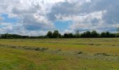 Trail Walking Theux - lareid . vertbuisson . haut marais . fraineux . la reid  - Photo 7