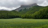Randonnée Marche Chichilianne - Esclops Trièves Tour du Mont Aiguille - Photo 3