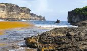 Randonnée Marche Anse-Bertrand - Guadeloupe - Porte d'Enfer à Pointe du Souffleur  - Photo 8