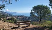 Tour Wandern La Turbie - fort de la Revère - Photo 1