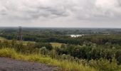 Tour Wandern Péruwelz - Forêt de Bon-Secours et pays minier de l’Escaut - Photo 6