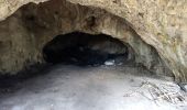 Tour Wandern La Roquebrussanne - 10844300-chapelle st andre ,grotte 400 moutons source oris - Photo 6