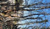 Trail Walking Rochefort - adeps rochefort  - Photo 9