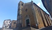 Trail Walking Radicofani - SityTrail - RADICOFANI   /  ACQUAPENDENTE - Photo 8