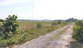 Tocht Elektrische fiets Celles - Circuit Celles - event Rally Voitures old timers - Photo 3