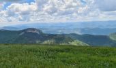 Excursión Senderismo Valdrôme - Valdrome - Montagne de l Aup - Photo 8