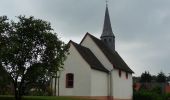 Tour Zu Fuß Hofheim am Taunus - Rund um Wildsachsen - Photo 5