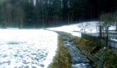 Percorso A piedi Teisendorf - Salzburgblick-Weg Nr. 25 - Photo 10