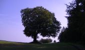 Tour Zu Fuß Giekau - Zum Hessenstein - Photo 5