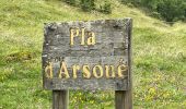 Tour Wandern Saint-Lary-Soulan - AZET : Pla d’Ourtigué en boucle - Photo 9