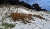 Tour Zu Fuß Rodney - Te Araroa - 02 Auckland - b Pakiri Beach to cnr Govan Wilson and Matakana Valley Rds - Photo 3