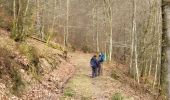 Trail Walking La Roche-en-Ardenne - Balade à Samrée - Photo 4
