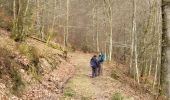 Tour Wandern La Roche-en-Ardenne - Balade à Samrée - Photo 4