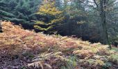 Trail Walking Aywaille - Boucle Aywaille - Photo 3