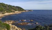 Randonnée Marche Ramatuelle - Sentier du littoral - Photo 10