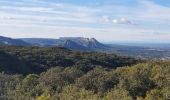 Trail Walking Eygalières - Autour du Petit & Gros Calan - Photo 1