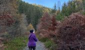 Tocht Stappen Malmedy - Ferme Libert - Photo 11