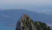 Tocht Stappen Le Bourget-du-Lac - DENT DU CHAT - MOLARD NOIR - Photo 8