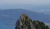 Tour Wandern Le Bourget-du-Lac - DENT DU CHAT - MOLARD NOIR - Photo 8