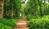 Tocht Stappen Thuin - La Promenade du Bois du Prince - Abbaye d'Aulne - Photo 5