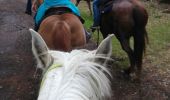 Trail Horseback riding Vacqueville - vacqueville chez Heidi bertrichamp  - Photo 1