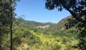 Tocht Stappen Vieussan - Tour de l’Ayrolle au départ de Vieussan. - Photo 2