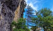 Trail Walking Estoublon - Gorges de Trévans - Photo 14