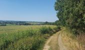 Trail On foot Lontzen - Lontzen - Rabotrath - Herbesthal - Photo 2