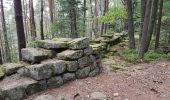 Tour Wandern Ottrott - Mont St Odile - Mur Païen - Grotte des Druides - Sentier des Merveilles - Photo 14