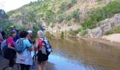 Trail Walking Roquebrune-sur-Argens - Pic Bourete - Photo 7