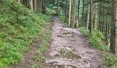 Trail Walking La Bresse - boucle la Bresse - lac des corbeaux - rocher du lac - Ã©tang de sechemer - la Bresse  - Photo 16