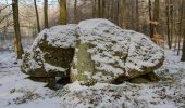 Tour Zu Fuß Glücksburg - Dolmenpfad - Photo 5