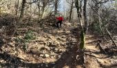 Excursión Senderismo Brison-Saint-Innocent - MONT DE CORSUET: BRISON ST INNOCENT - MEYRIEU - SOUS LA CHAMBOTTE - Photo 11