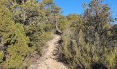 Trail Walking Aups - 2023-01-31 Col de la Bigue - Les Eyssariades - Photo 6