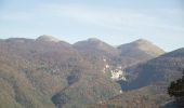 Excursión Senderismo Saou - Tour de la Forêt de Saoû - Photo 1