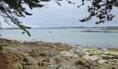 Tour Wandern Pleumeur-Bodou - 2024 RA J3 Bretagne costamoricaine  - Photo 8