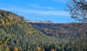 Tour Wandern Saint-Sauves-d'Auvergne - Charlannes-la_charbonnière-la_Stéle - Photo 1