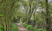 Trail Walking Tinlot - Bois de Forkechamps - Photo 7