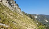 Tour Wandern Gex - Colomby de Gex - Photo 1