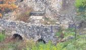 Excursión Senderismo Artignosc-sur-Verdon - Boucle du verdon - Photo 16