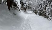 Randonnée Marche nordique Linthal - Autour d’Obersengern - Photo 1