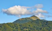Randonnée A pied Levanto - Alta Via delle 5 Terre: Foce di Dosso - Monte San Nicolao - Passo del Biscia - Photo 6