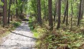 Tocht Stappen Ormoy-le-Davien - 040522 - Boucle Ormoy le Davien - Moulin de Wallu... - Photo 12