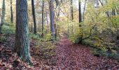 Randonnée Marche Esneux - Es eux rond de chêne  - Photo 2