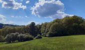 Tocht Stappen Stoumont - cour . borgoumont . moulin du ruy . andrimont . cour - Photo 2