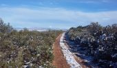 Percorso A piedi Roquevaire - Mont du Marseillais et le Puits de l'Aroumi  - Photo 3