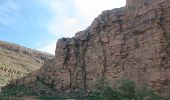 Trail Car Tarmigt - Ouarzazate M'Hamid  - Photo 12