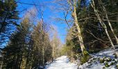Trail Walking Gérardmer - Les Bas-Rupts - Les Hautes Vannes
[Par Les Lattes - 3]  - Photo 7