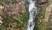 Tocht Stappen Stavelot - SityTrail - Extratrail_stavelot_13km_new - Photo 7