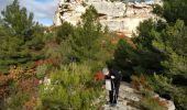 Tour Wandern Les Baux-de-Provence - Sentier Les Baux de Provence  - Photo 19